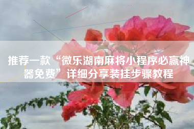 推荐一款“微乐湖南麻将小程序必赢神器免费”详细分享装挂步骤教程