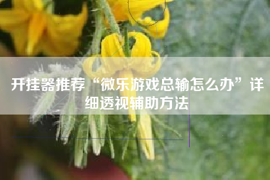 开挂器推荐“微乐游戏总输怎么办	”详细透视辅助方法