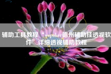 辅助工具教程“wepoker德州辅助挂透视软件”详细透视辅助教程