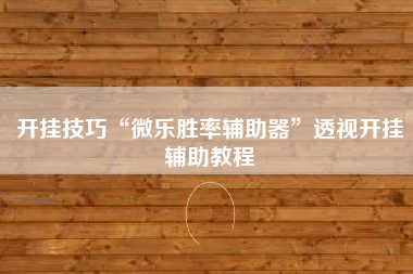 开挂技巧“微乐胜率辅助器	”透视开挂辅助教程