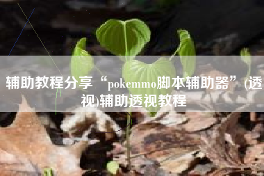 辅助教程分享“pokemmo脚本辅助器	”(透视)辅助透视教程
