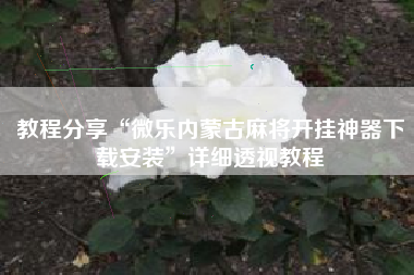 教程分享“微乐内蒙古麻将开挂神器下载安装”详细透视教程