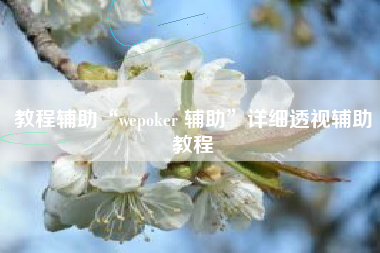 教程辅助“wepoker 辅助”详细透视辅助教程