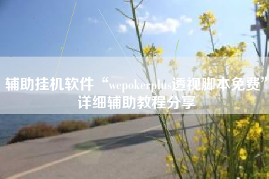 辅助挂机软件“wepokerplus透视脚本免费	”详细辅助教程分享