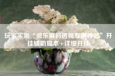 玩家实测“微乐麻将透视专用神器”开挂辅助脚本+详细开挂