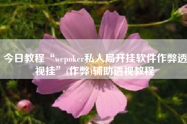 今日教程“wepoker私人局开挂软件作弊透视挂”(作弊)辅助透视教程