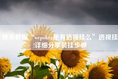 我来教你“wepoker是有透视挂么	”透视挂!详细分享装挂步骤