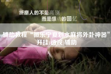 辅助教程“微乐宁夏划水麻将外卦神器”开挂(透视)辅助