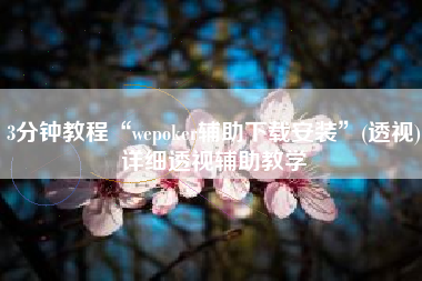 3分钟教程“wepoker辅助下载安装	”(透视)详细透视辅助教学