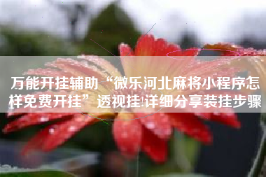 万能开挂辅助“微乐河北麻将小程序怎样免费开挂	”透视挂!详细分享装挂步骤