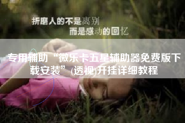 专用辅助“微乐卡五星辅助器免费版下载安装”(透视)开挂详细教程