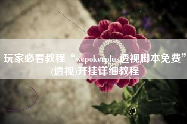 玩家必看教程“wepokerplus透视脚本免费”(透视)开挂详细教程