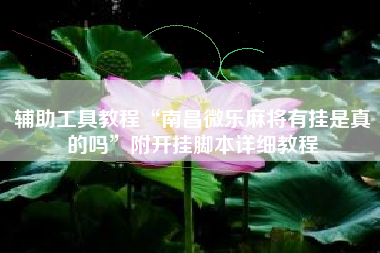 辅助工具教程“南昌微乐麻将有挂是真的吗”附开挂脚本详细教程