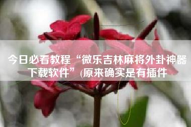 今日必看教程“微乐吉林麻将外卦神器下载软件	”(原来确实是有插件