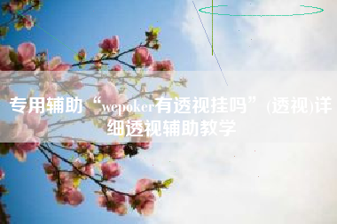 专用辅助“wepoker有透视挂吗”(透视)详细透视辅助教学