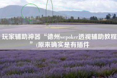 玩家辅助神器“德州wepoker透视辅助教程”(原来确实是有插件