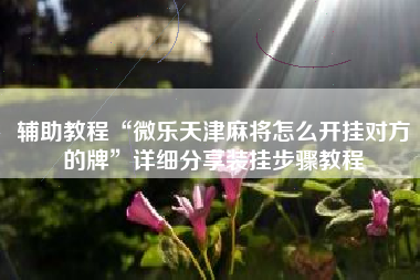 辅助教程“微乐天津麻将怎么开挂对方的牌	”详细分享装挂步骤教程