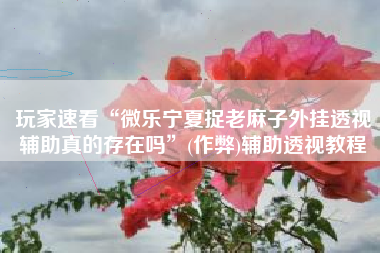 玩家速看“微乐宁夏捉老麻子外挂透视辅助真的存在吗	”(作弊)辅助透视教程