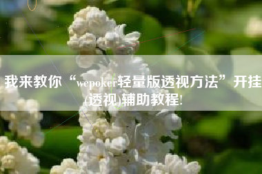 我来教你“wepoker轻量版透视方法”开挂(透视)辅助教程!