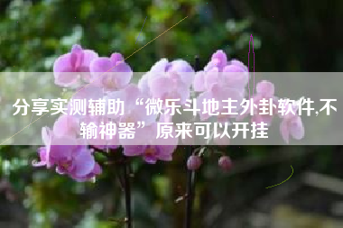 分享实测辅助“微乐斗地主外卦软件,不输神器”原来可以开挂