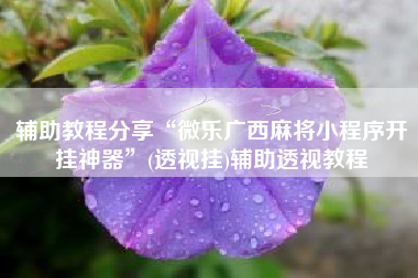 辅助教程分享“微乐广西麻将小程序开挂神器”(透视挂)辅助透视教程