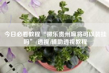 今日必看教程“微乐贵州麻将可以装挂吗	”(透视)辅助透视教程