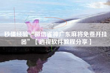 秒懂经验“微信雀神广东麻将免费开挂器”【透视软件教程分享】