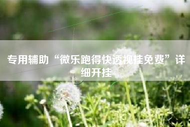 专用辅助“微乐跑得快透视挂免费”详细开挂