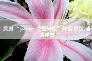 实测!“pokemmo免费辅助	”开挂(透视)辅助神器