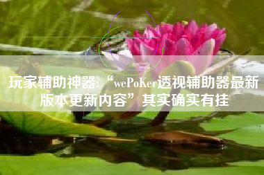 玩家辅助神器:“wePoKer透视辅助器最新版本更新内容	”其实确实有挂