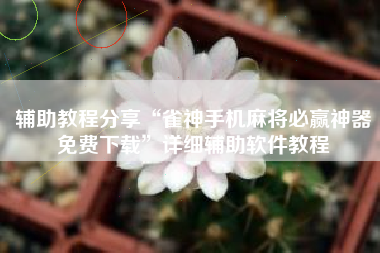 辅助教程分享“雀神手机麻将必赢神器免费下载”详细辅助软件教程