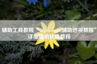 辅助工具教程“wepokerplus辅助透视教程”详细辅助软件教程