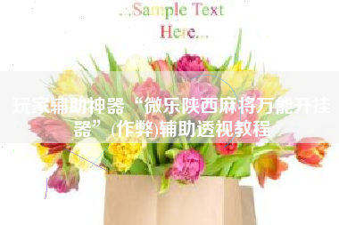 玩家辅助神器“微乐陕西麻将万能开挂器”(作弊)辅助透视教程