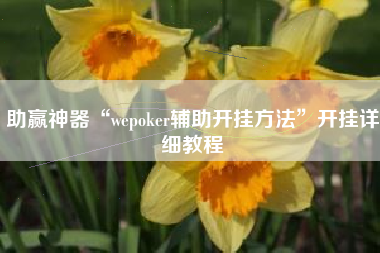 助赢神器“wepoker辅助开挂方法”开挂详细教程