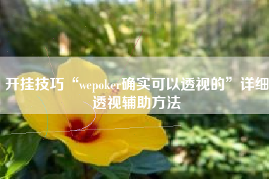 开挂技巧“wepoker确实可以透视的”详细透视辅助方法