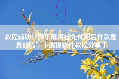 教程辅助“微乐麻将挂先试用后付款是真的吗	”【透视软件教程分享】