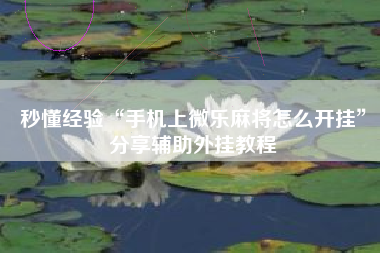 秒懂经验“手机上微乐麻将怎么开挂”分享辅助外挂教程