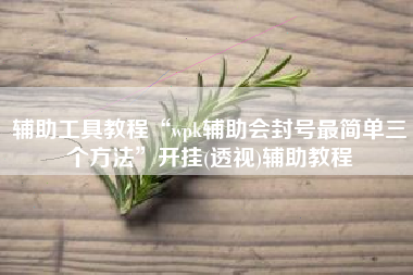 辅助工具教程“wpk辅助会封号最简单三个方法”开挂(透视)辅助教程