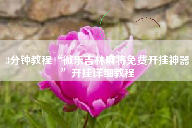 3分钟教程“微乐吉林麻将免费开挂神器	”开挂详细教程