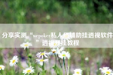 分享实测“wepoker私人局辅助挂透视软件	”透视开挂教程