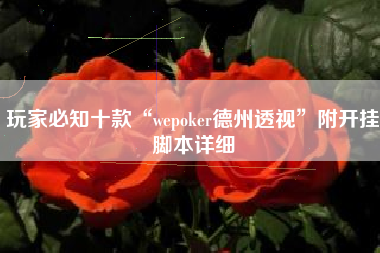 玩家必知十款“wepoker德州透视	”附开挂脚本详细