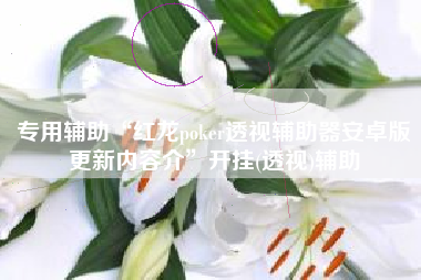 专用辅助“红龙poker透视辅助器安卓版更新内容介”开挂(透视)辅助