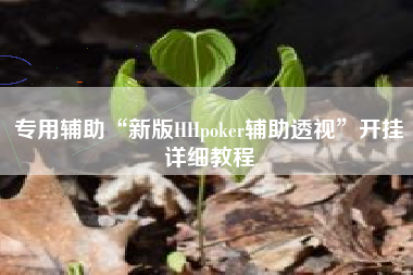 专用辅助“新版HHpoker辅助透视”开挂详细教程