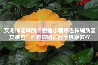 实测神器辅助“微信小程序雀神辅助器安装包”科技辅助神器手机版教程