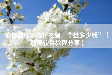 必看教程“德扑之星一个挂多少钱”【透视软件教程分享】