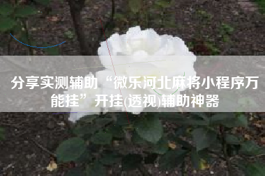 分享实测辅助“微乐河北麻将小程序万能挂”开挂(透视)辅助神器