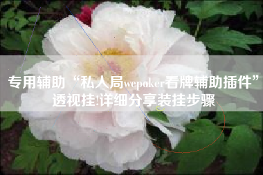 专用辅助“私人局wepoker看牌辅助插件”透视挂!详细分享装挂步骤