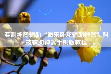 实测神器辅助“微乐卧龙辅助神器”科技辅助神器手机版教程