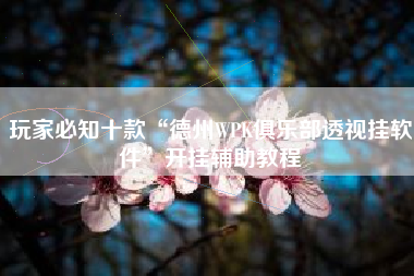 玩家必知十款“德州WPK俱乐部透视挂软件”开挂辅助教程