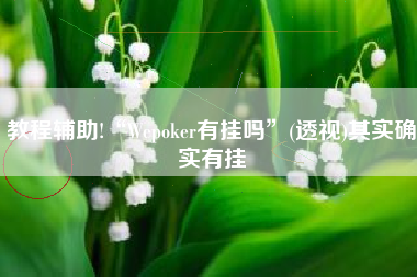 教程辅助!“Wepoker有挂吗”(透视)其实确实有挂